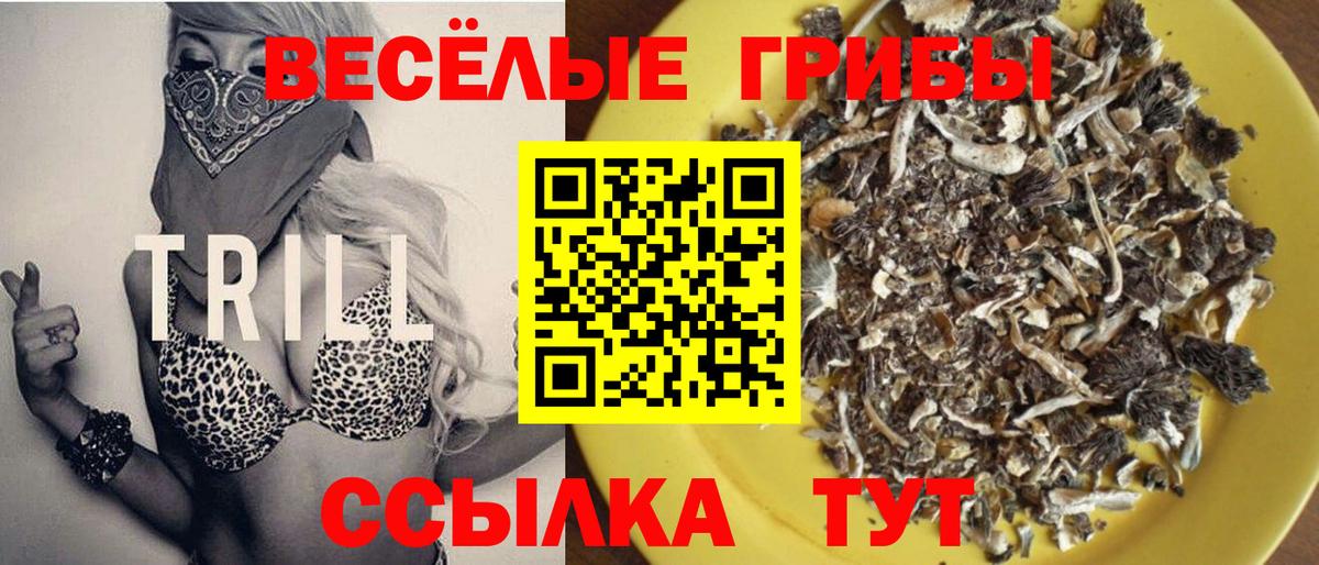 Псилоцибиновые грибы Magic Shrooms  Вход с VPN  Новоуральск  Галлюциногенные грибы Magic Shrooms 