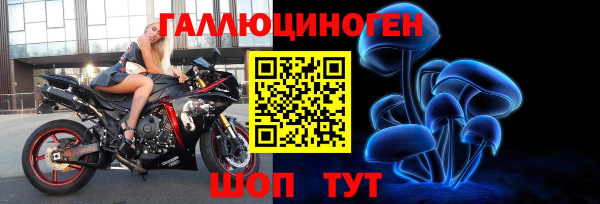 Галлюциногенные грибы Psilocybine cubensis Новоуральск